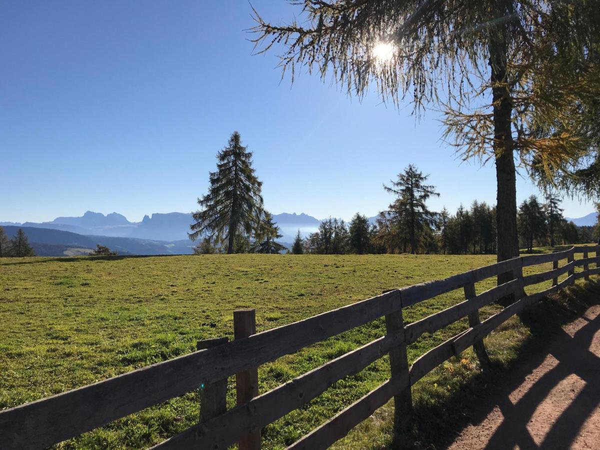 Beckenbinder Apartement Schlern San Genesio Atesino Esterno foto