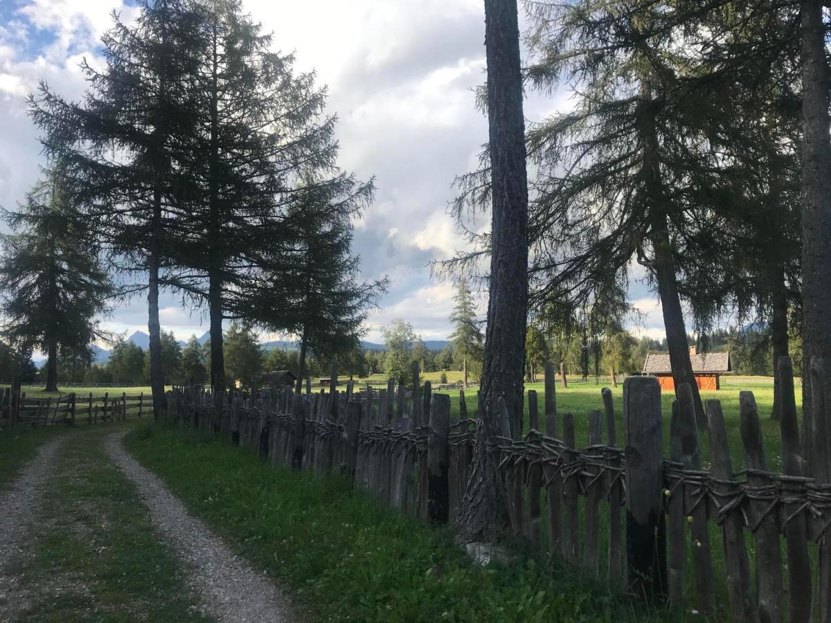 Beckenbinder Apartement Schlern San Genesio Atesino Esterno foto